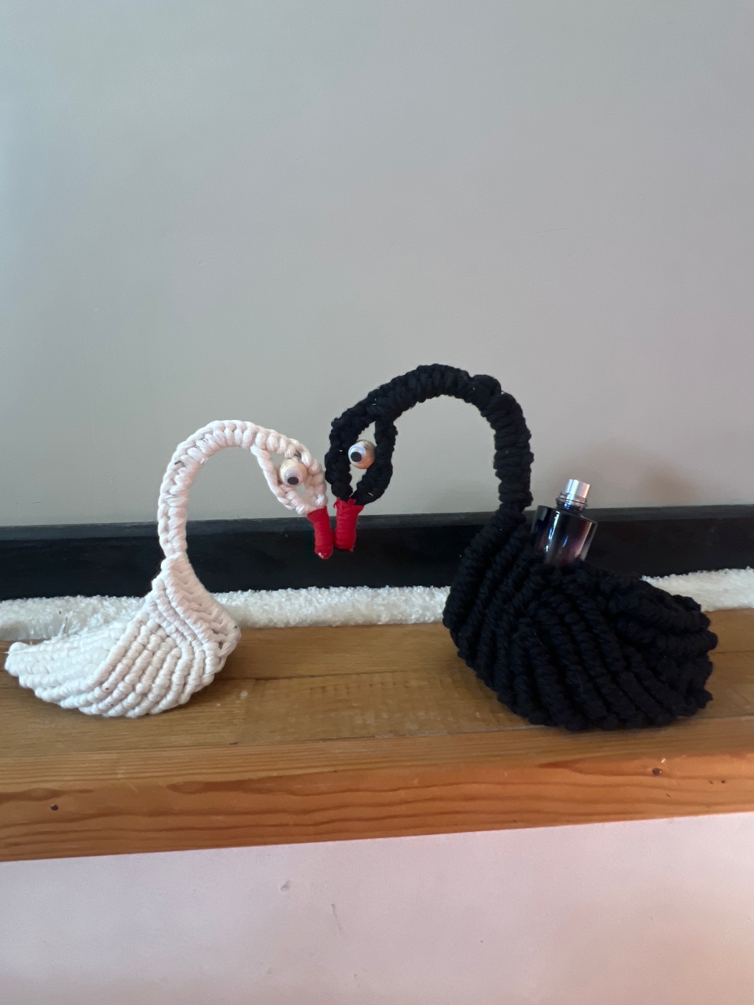 Cygnes noirs ou blancs