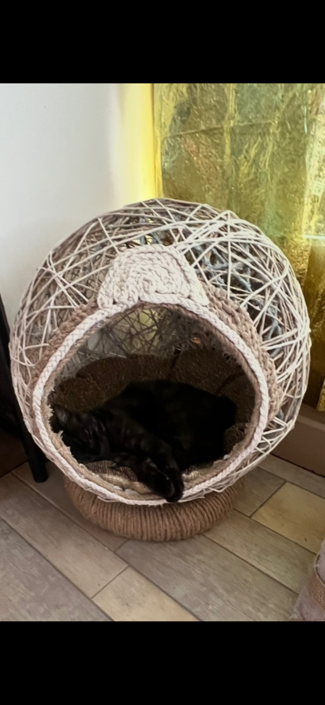 Panier douillet pour chat